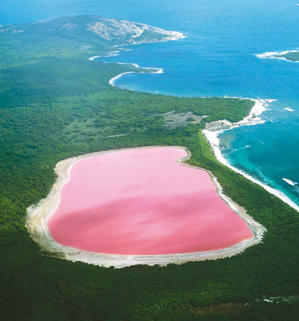 01NaturalezaIncreiblex2