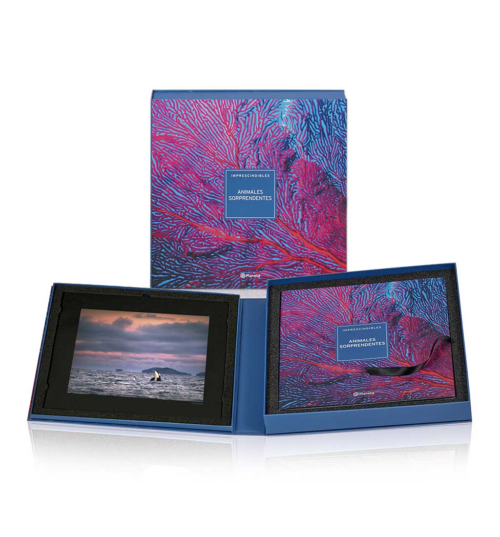 01AnimalesSorprendentesx2