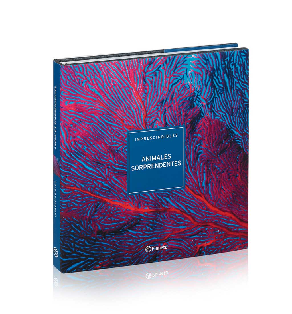 01AnimalesSorprendentesx2