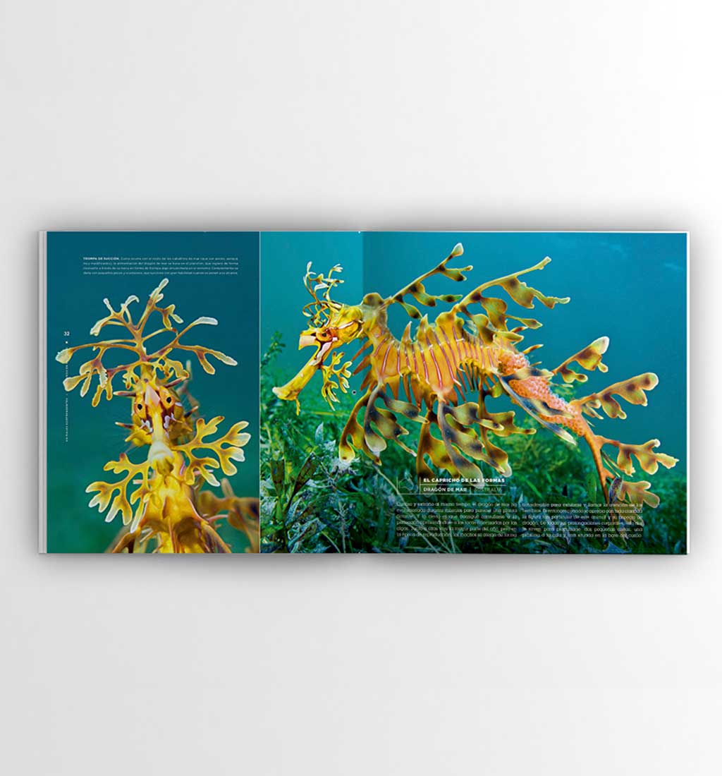 01AnimalesSorprendentesx2