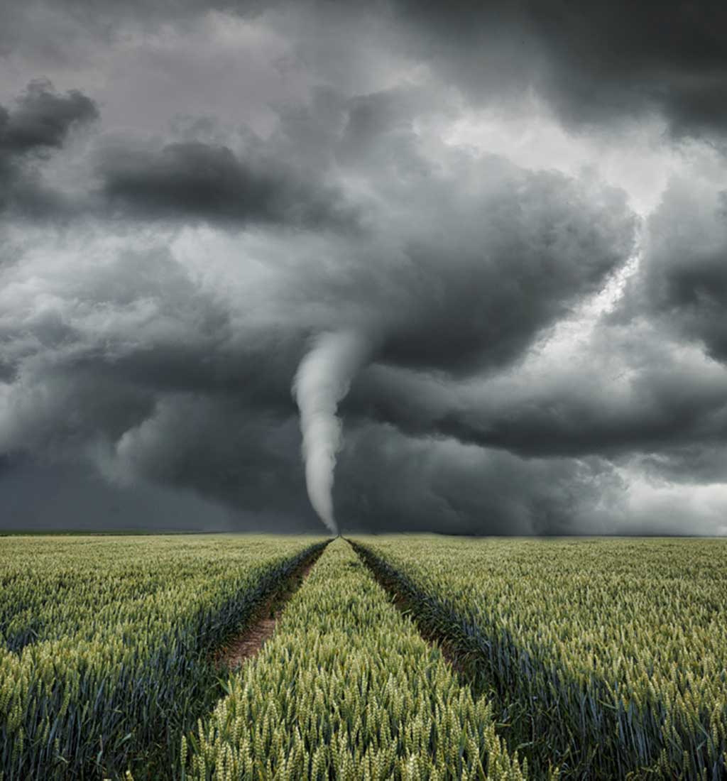 01FenomenosNaturalesx2